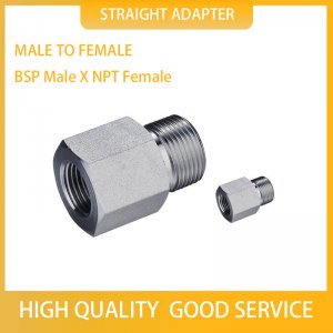 BSP MALE X NPT FEMALE 5BN